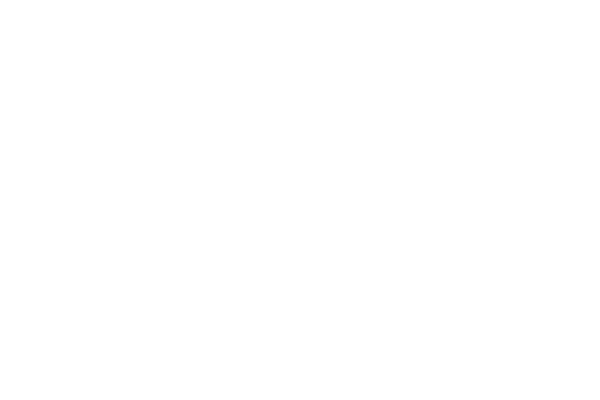 capgemini
