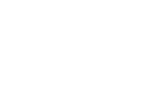 wesselinkvanzijst1